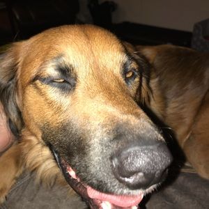 Meet your Posher, Alison